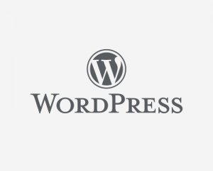 wordpress-300x240 wordpress