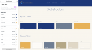 Screenshot-2026-06-03-at-4.02.53-PM-300x162 Elementor Global Colors