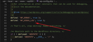 wp-debug-log-300x137 wp debug log